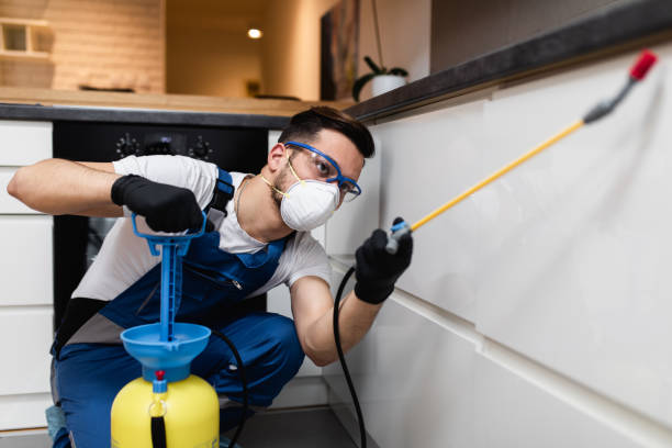 Best Rat Extermination Near Me  in Sandusky, OH
