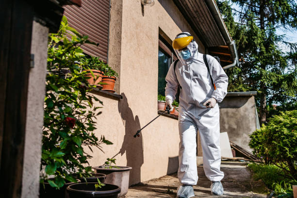 Best Wasp Removal Services  in Sandusky, OH
