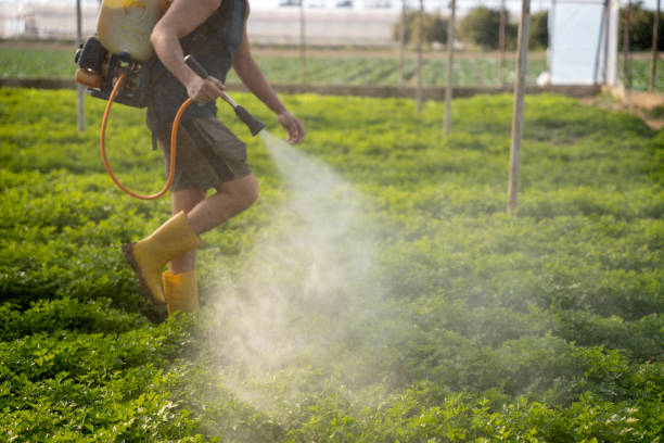 Best Local Pest Control Services  in Sandusky, OH