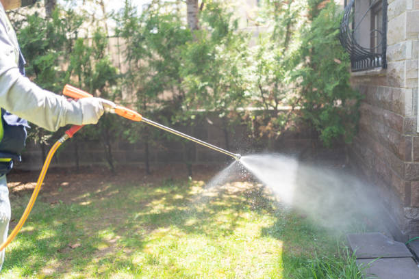 Trusted Sandusky, OH Pest Control Experts