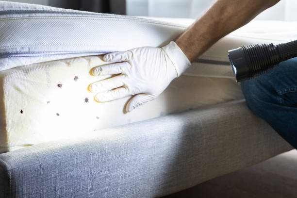 Best Affordable Pest Control Services  in Sandusky, OH