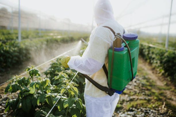 Best Emergency Pest Control  in Sandusky, OH